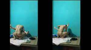 Dập nát bướm eny cũ
